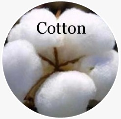 COTTON